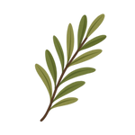Sodium a-Olefin Sulfonate