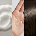 Frizz-Free Essentials Set