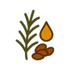 Rosemary Extract
